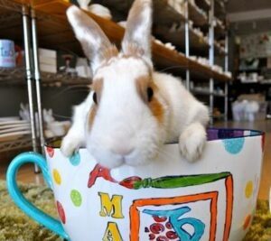 Giant hand-painted teacup